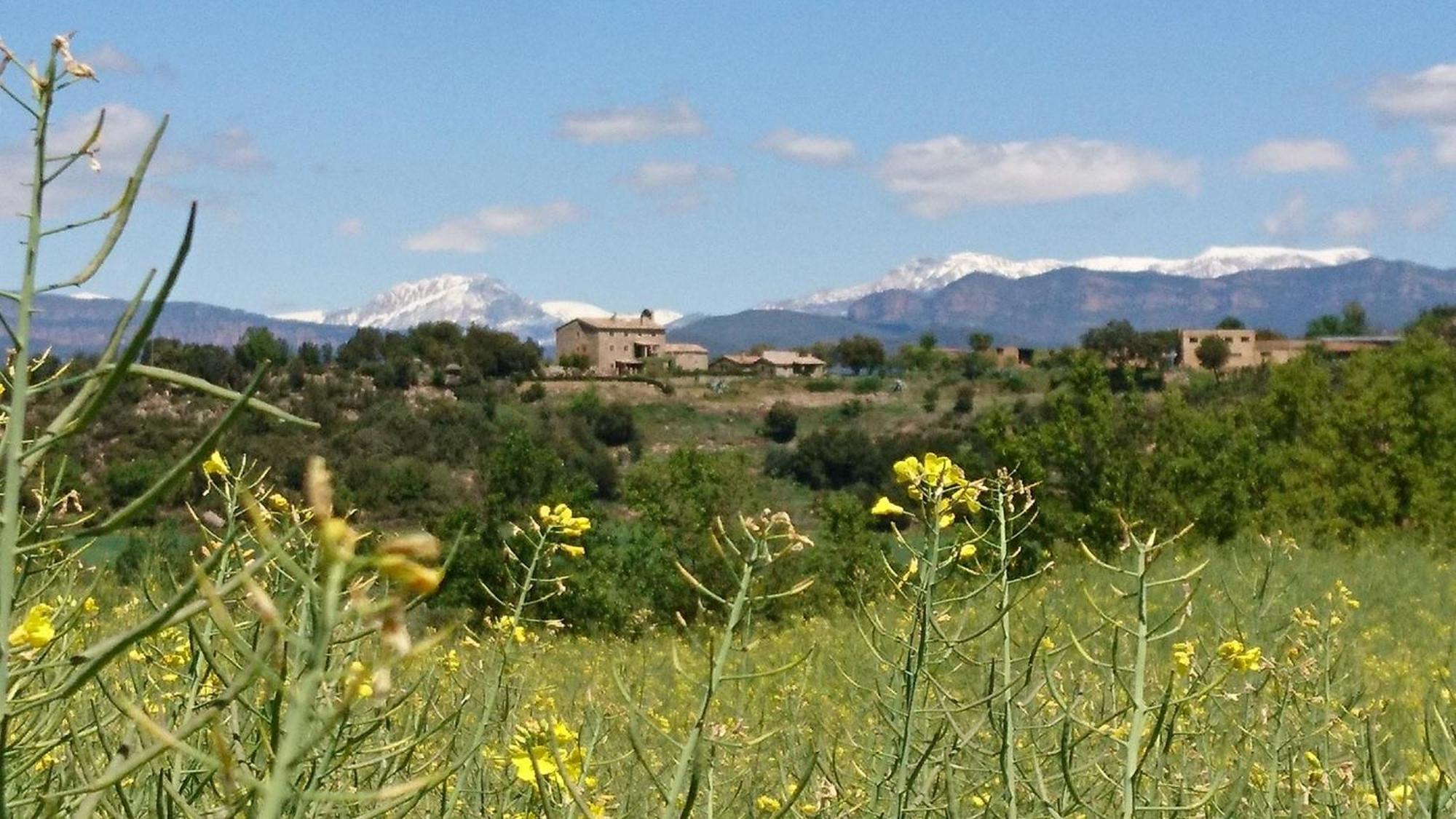 Casa Rural Sant Grau Turismo Saludable Y Responsable Solsona Exterior foto
